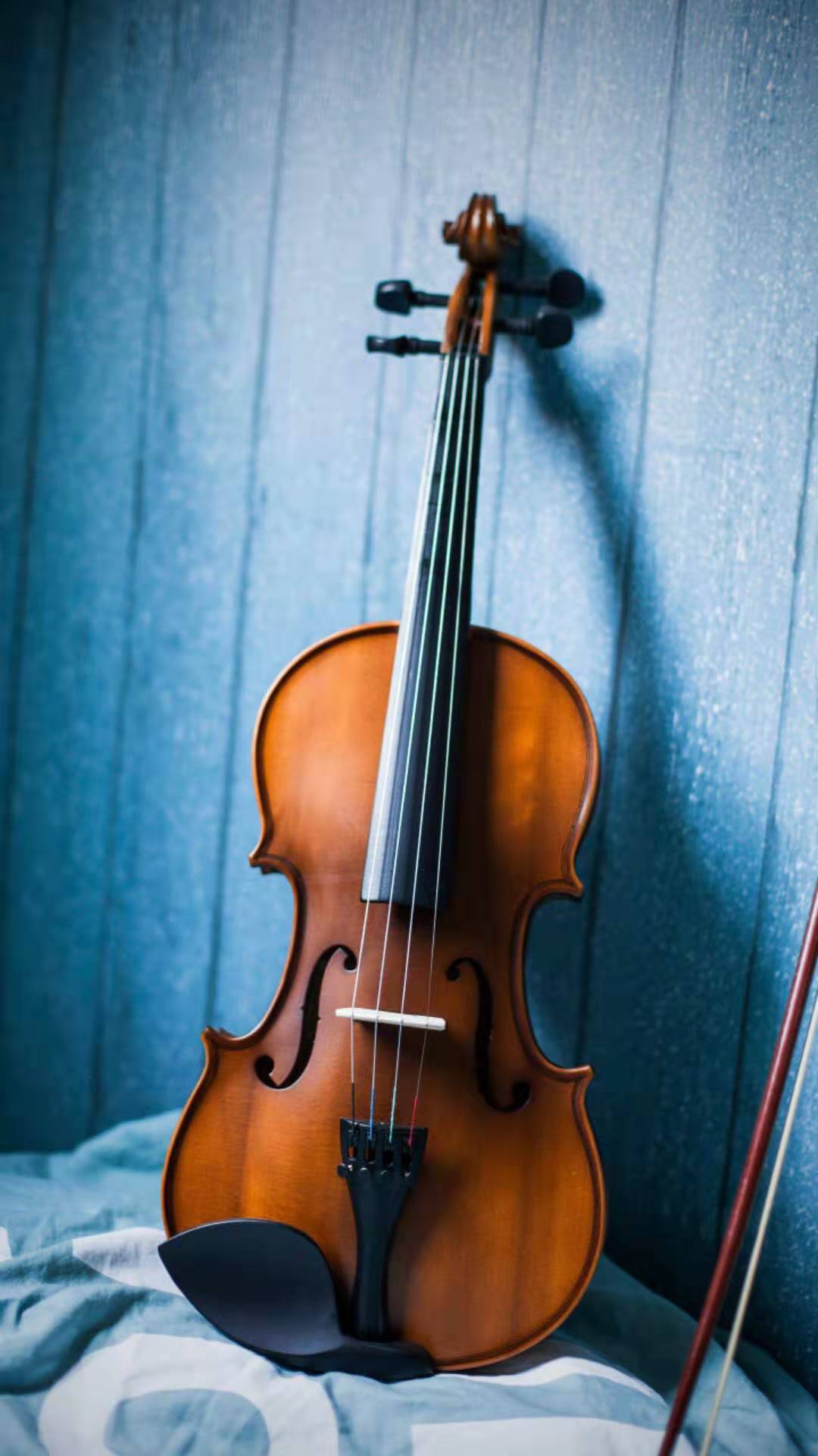 天天说基本功，学小提琴到底有哪些基本功？_慧禾国际艺术教育